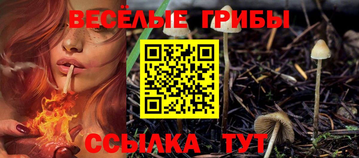 Галлюциногенные грибы Magic Shrooms Урюпинск